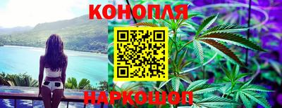 прущие крисы Шелехов